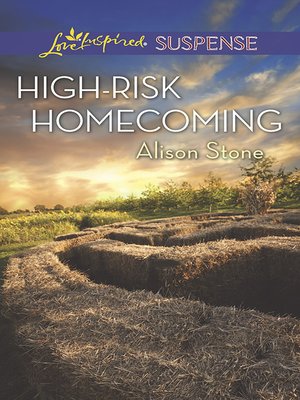 cover image of High-Risk Homecoming